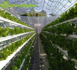 Serra grondaia sistemi di coltivazione idroponica nft <span class=keywords><strong>canalone</strong></span> - Product Image 3