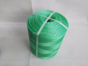 PP Agriculture Packaging Baler <strong>Twine</strong> For Promotion - Product Image 3