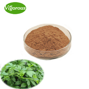 Органический экстракт гиностеммы пентафиллум, порошок гипенозидов 80% 98%, экстракт цзяогулана - Product Image 2