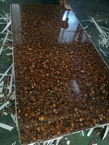 MELAMINE Phải Đối Mặt Với <span class=keywords><strong>MDF</strong></span>/Ván <span class=keywords><strong>MDF</strong></span> Nhiều Lớp 12 15 <span class=keywords><strong>16</strong></span> 18MM 2440*1220MM Sử Dụng Đồ Nội Thất Mật Độ Cao - Product Image 6