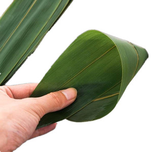Sushi fresco nuove foglie <span class=keywords><strong>di</strong></span> bambù <span class=keywords><strong>foglia</strong></span> confezionata sottovuoto - Product Image 4