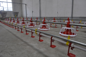2025 nuovo Design di pollame automatico pollo mangiatoia di pollo capezzolo sistema di bere per aziende agricole polutrie - Product Image 5
