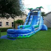 Inflatable Water Slide with Pool for Sale, Large Size