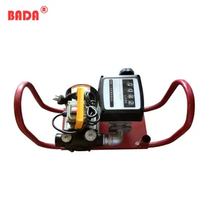 AC 220V fuel electric transfer pump with counter portable diesel transfer pump