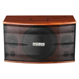 RMS 180 watt Morin 10 pollice KTV altoparlante A-380