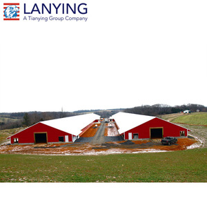 Gran estructura de acero Pakistán diseño <span class=keywords><strong>granja</strong></span> avícola - Product Image 5