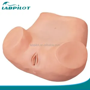 Gynecological Examination Training Simulator, Female Vagina Models