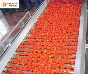 Ligne de production pour traitement de tomates en conserve, usine de machines à pâte de tomate