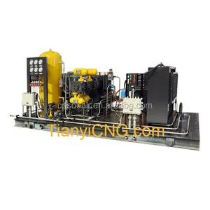 CNG D/M Type Standard Mother Station Compressor Natural Gas compressor