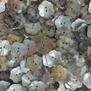 Nhà máy bán sỉ nhật bản akoya nút vỏ trong nhật bản agoya nút vỏ giá - Product Image 3