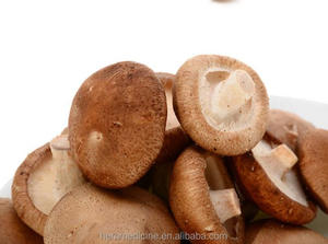 しいたけ乾燥乾燥剤菌食用乾燥全粒粉 - Product Image 3