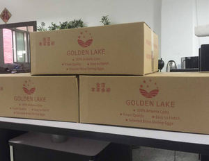 Oeufs <span class=keywords><strong>d</strong></span>'<span class=keywords><strong>Artemia</strong></span> à haute éclosibilité et nutrition Support personnalisé pour une croissance rapide du poisson - Product Image 4