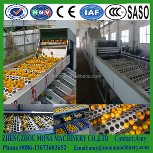 Máquina Profesional para Clasificar Cítricos | Máquina de Encerado para Cítricos y Manzanas | Máquina para Levantar, Limpiar y Secar Frutas - Product Image 3