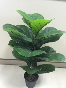 TH-16 Nhà Máy Trực Tiếp Nhân Tạo Trung Quốc Lyrata Cây Ficus Cây Fiddle Lá Cây Vả Cây Trong Nhà - Product Image 6