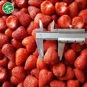 IQF Frozen Fruit Whole Fresh 25-35mm Erdbeere zu verkaufen