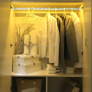 LED Hanger Light Automatic Hanging Rail Led ricaricabile light batterie ricaricabili LED <span class=keywords><strong>armadio</strong></span> Rail Bar Light - Product Image 5