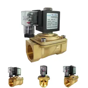 Grosir solenoid valve 1 2 inch-DN20 DN25 Katup Solenoid, Katup Solenoid 1 2 3 Inci Kuningan Air Gas 24V 12V