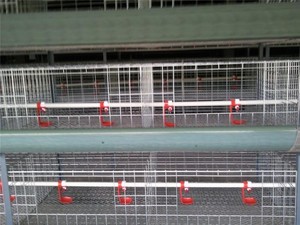 La ferme et l'agriculture équipements cages à oiseaux à vendre pas cher, petit poulailler design à vendre - Product Image 2