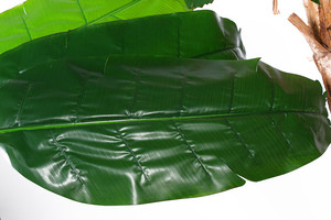 Paisaje de la Decoración de Árbol de Plátano Artificial Para El Instituto - Product Image 4