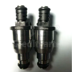 New Developed CNG Fuel Injector For Sale 1309-6178