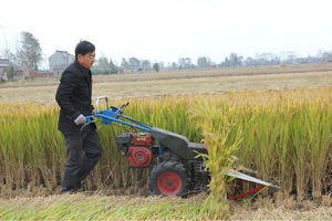 Máy Gặt Đập Mini Miwell 4GL150 Cho Lúa Mì Máy Kéo Phía Trước Gắn Đầu - Product Image 4