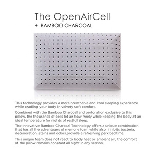 Hypoallergenic antimicrobial infundidas coal FOAM PILLOW's memoir from grass bamboo pillows - Product Image 4