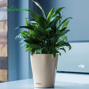 Giardino di casa, vaso di fiore, alto di plastica vasi di fiori di ceramica alla ricerca di vaso di plastica esterno decorativo - Product Image 4