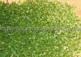 Machine à couper les légumes pour <span class=keywords><strong>salade</strong></span> commerciale | Machine à couper la <span class=keywords><strong>laitue</strong></span> | Machine à couper le chou <span class=keywords><strong>rouge</strong></span> - Product Image 3