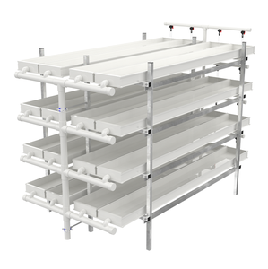 Weizengras hydrokultur wachsen container gerste futter regale system