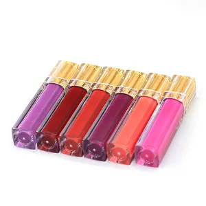 Lipstik Cair Berkilau Membuat Merek Anda Sendiri Kosmetik Lip Gloss Set Kustom Label Pribadi Lipgloss Berkilau