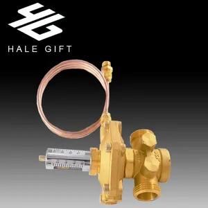 Automatic Brass Differential Pressure Control Valve