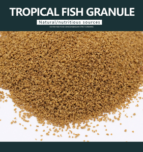 Alimento pequeño para peces tropicales, granulados de hundimiento lento, comida para peces de acuario - Product Image 6