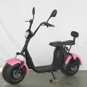 새로운 전기 모터 스쿠터 1000W Citycoco Moto Electrica