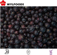 Top Kwaliteit Bevroren Fruit Iqf Zwarte Bessen