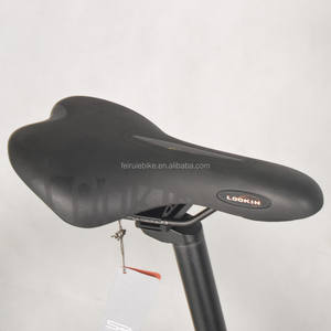 Vélo électrique de ville <span class=keywords><strong>classique</strong></span> à moteur central 250w-350w / Vélo électrique 700c à vendre / Vélo électrique de ville à moteur central - Product Image 5