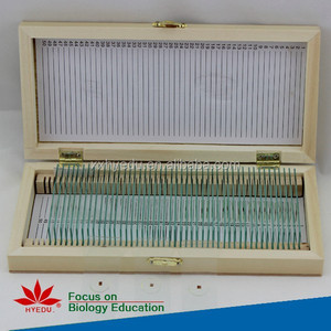 Individuelle Objektträger zur Auswahl aus dem Set Humanen Histologie-Gewebeobjektträger, Histologie-Gewebeobjektträger - Product Image 4