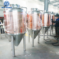250l en acier inoxydable petite bière fermentation unitank gainé fermenteur conique de bière de réservoir