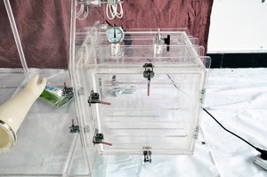 Acrylic glove display box can be used in a variety of applications - Product Image 4