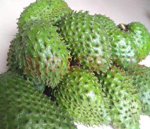 Rodajas de Fruta de Guanábana (<span class=keywords><strong>Annona</strong></span> Muricata) 100% Naturales y Secas, Fruta Deshidratada de Corossol, Cortes de Fruta Seca de Guanábana en Venta - Product Image 5