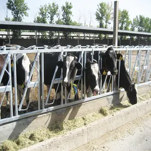 牛棚低成本钢制遮光罩结构