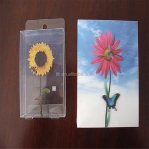 Boîte en plastique PVC transparente imprimée sur mesure de qualité supérieure pour l'emballage de cadeaux cosmétiques, étui de présentation transparent, boîte de rangement - Product Image 2