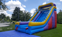 Bon marché prix adulte jeu grand gonflable sec toboggans location de fête utilisant pour les enfants et les adultes