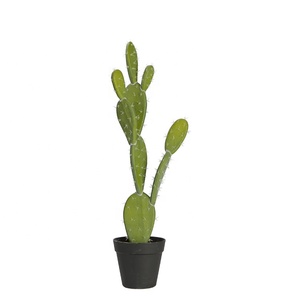 China plantas artificiales de belleza interior y de fiesta al aire libre Jardín de cactus, directo de fábrica - Product Image 1