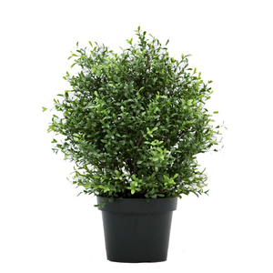 L mới trang trí 100% PE cây nhân tạo cây bách xù - Product Image 6