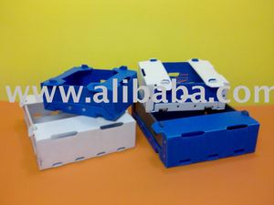 Cajas de plástico plegables corrugadas de PP tamaño y color personalizados ISO 9001:2015 grado alimenticio apilable para almacenamiento de frutas y verduras - Product Image 5