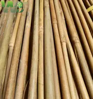 高品質の茶乾燥竹、硬い質感、鉄竹としても知られています