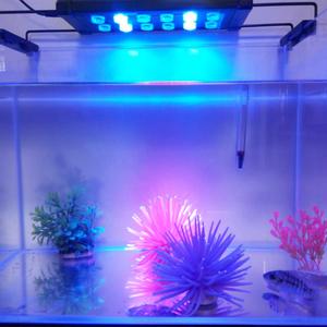 Proveedor Chino led acuario luz clip Venta <span class=keywords><strong>caliente</strong></span> para el tanque de <span class=keywords><strong>peces</strong></span> de <span class=keywords><strong>agua</strong></span> <span class=keywords><strong>dulce</strong></span> - Product Image 1