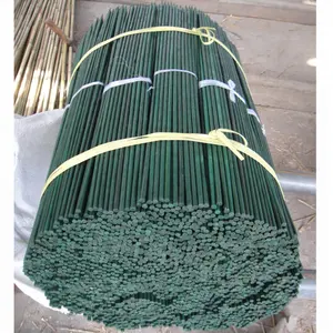 Garden Bamboo Garden Supplies Green Bamboo Stick