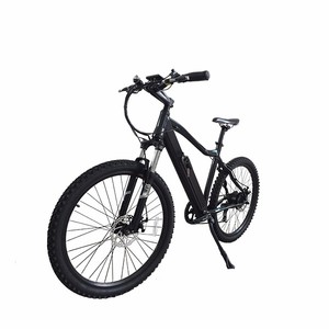 Latest <strong>250W</strong> Mountain <strong>Electric</strong> <strong>Bike</strong> with <strong>EN15194</strong>
