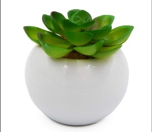Plantas Suculentas Artificiales Verde Sin Maceta <span class=keywords><strong>Flor</strong></span> de Imitación Suculentas Mini <span class=keywords><strong>Echeveria</strong></span> Selecciones Tallos a Granel PARA LA Decoración Interior del Hogar - Product Image 3